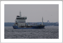 Marinus 